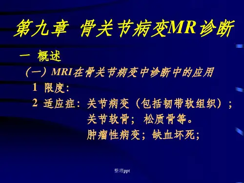 《骨关节》