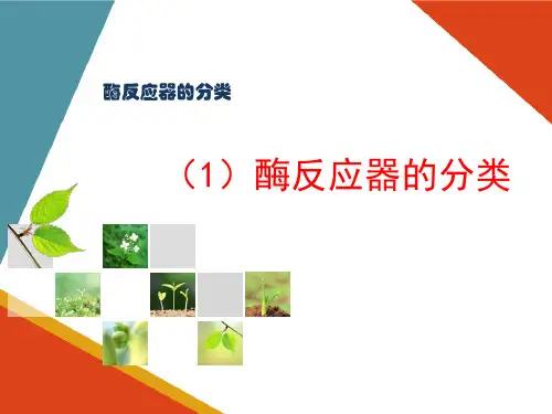 酶反应器的认知与操作—酶反应器概述
