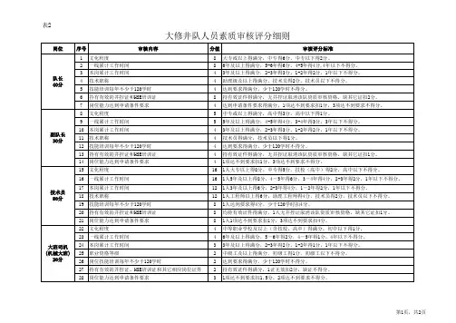 集团公司大修井队资质审核标准(试行)