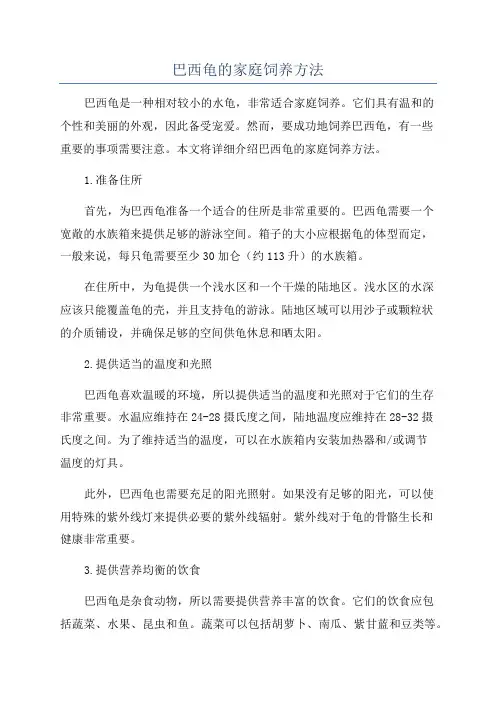 巴西龟的家庭饲养方法