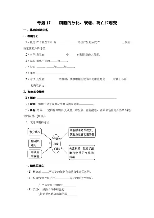 高中生物复习总结 细胞的分化、衰老、凋亡和癌变