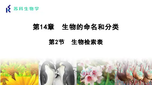 14.2+生物检索表-2022-2023学年七年级生物下册同步精品课堂(苏科版)