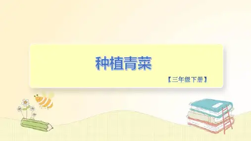 种植青菜(二)(课件)-三年级劳动教育”小农庄“(校本课程)