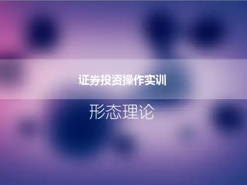 实验十：形态理论