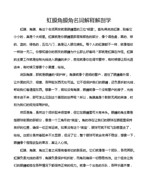 虹膜角膜角名词解释解剖学