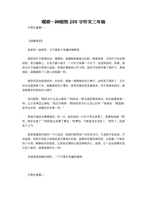 观察一种植物200字作文三年级