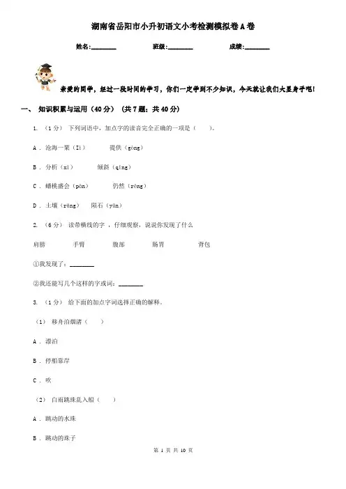 湖南省岳阳市小升初语文小考检测模拟卷A卷