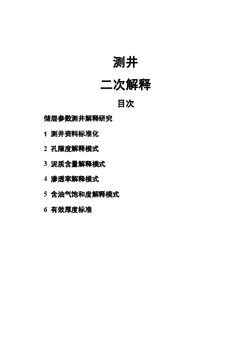 测井二次解释z