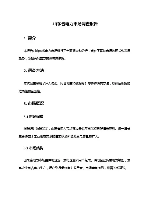 2024年山东省电力市场调查报告
