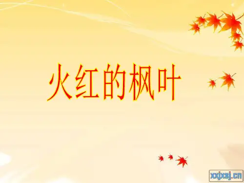 语文二年级上北师大版1-2《火红的枫叶》精品课件