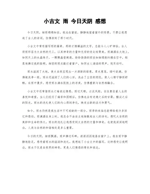 小古文 雨 今日天阴 感想