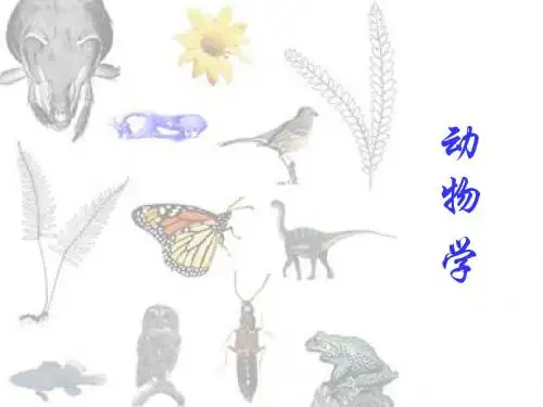绪论、第一章