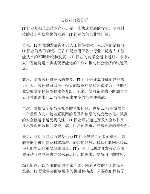 it行业前景分析