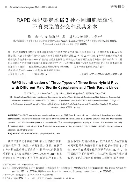 RAPD标记鉴定水稻3种不同细胞质雄性不育类型的杂交种及其亲本