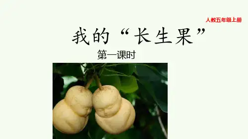《我的长生果》完美版课件2