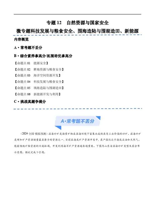 专题12自然资源与国家安全微专题科技发展与粮食安全、填海造陆与围湖造田、新能源开发与利用(原卷版)