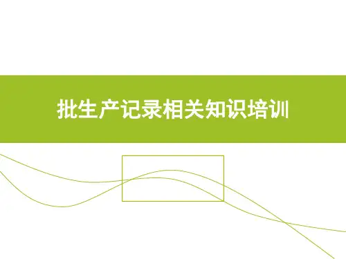 批生产记录相关知识培训