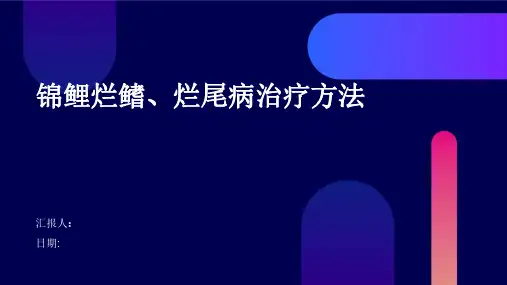 锦鲤烂鳍、烂尾病治疗方法