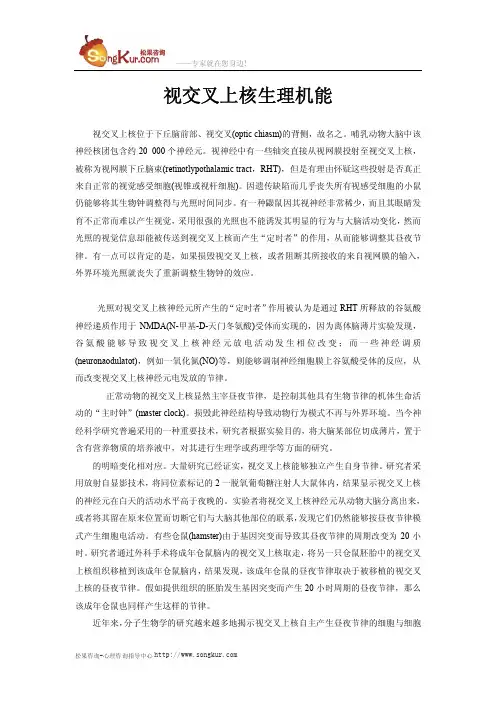 视交叉上核生理机能
