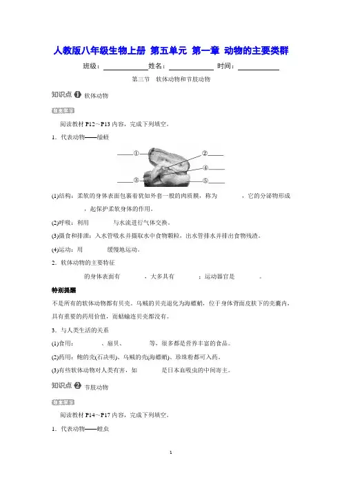 人教版八年级生物上册 第五单元 第一章 第三节 软体动物和节肢动物 课时同步练习(含详细解答)