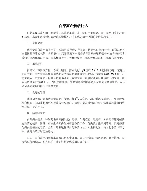 白菜高产栽培技术