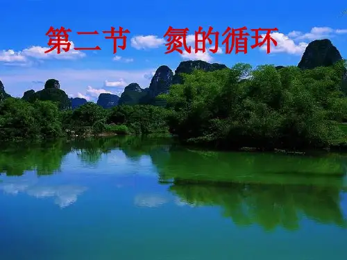 鲁科版氮的循环PPT下载2