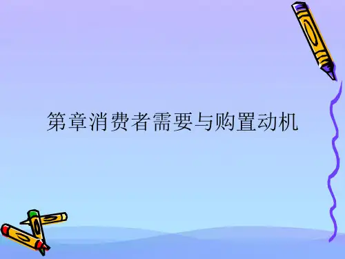 消费者需要与购买动机(精品资料)PPT