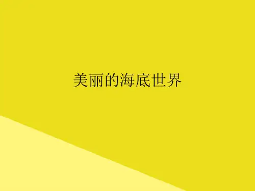 美丽的海底世界PPT资料(正式版)