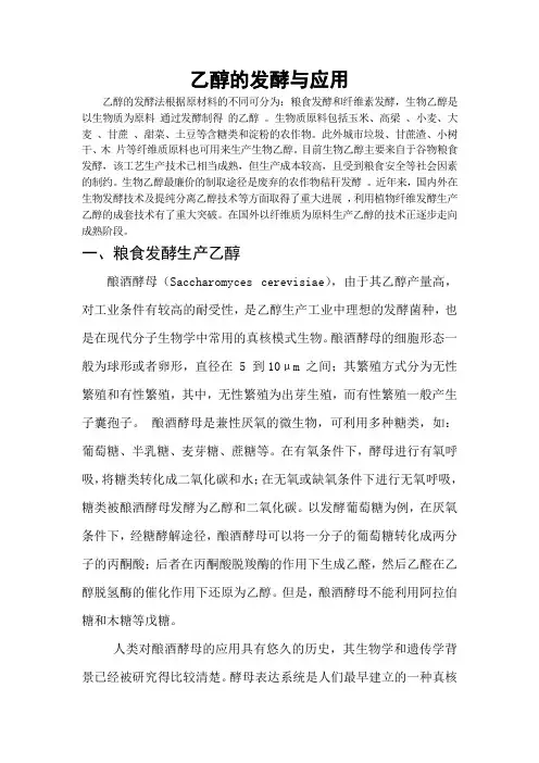 乙醇的发酵与应用  最终版