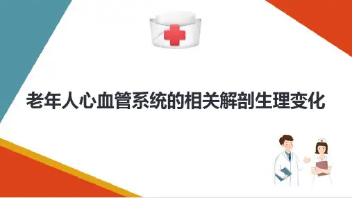 老年人相关解剖生理变化—心血管系统生理变化