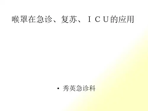 喉罩_培训课件
