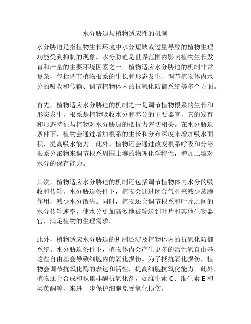 水分胁迫与植物适应性的机制