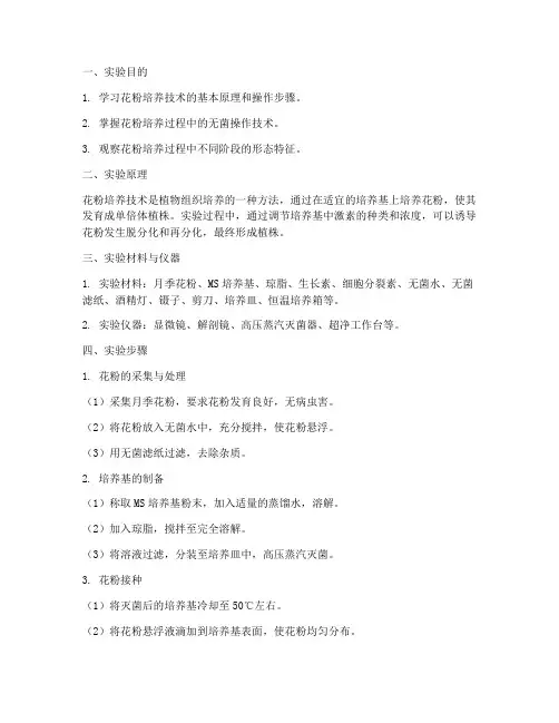 花粉培养技术实验报告