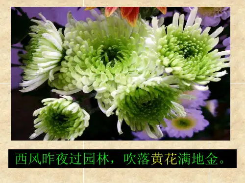 《游褒禅山记》(详细)