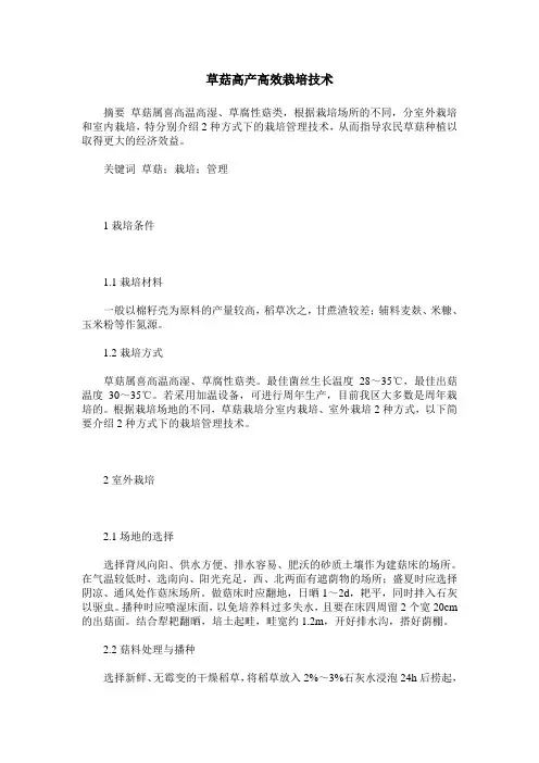 草菇高产高效栽培技术