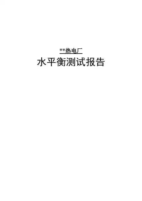 热电厂水平衡测试报告