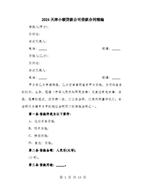 2024天津小额贷款公司借款合同精编