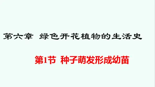北师大版七年级生物上册第6章《绿色开花植物的生活史》课件