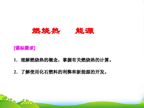 人教版高中化学选修四 121 燃烧热 能源 课件1 (共22张PPT)