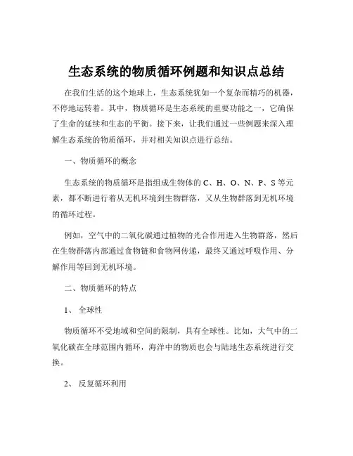 生态系统的物质循环例题和知识点总结