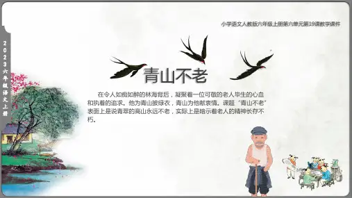 青山不老课件(共36张PPT)
