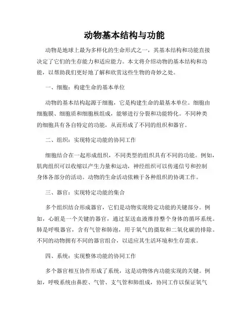 动物基本结构与功能