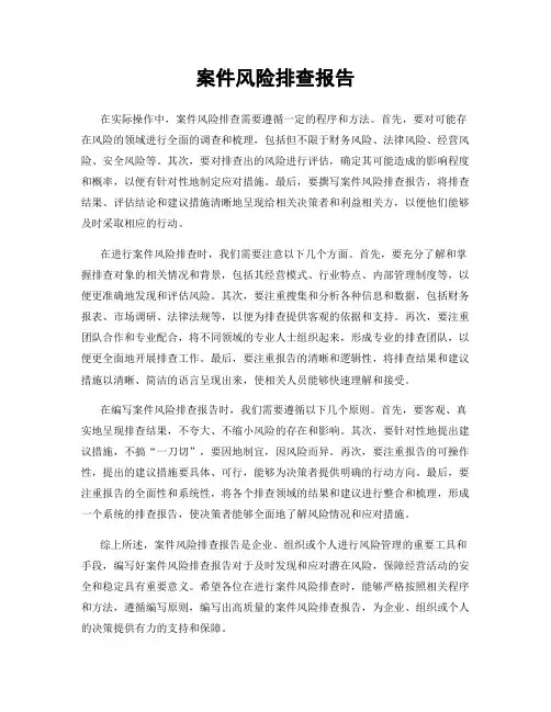 案件风险排查报告
