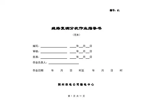 线路复测分坑作业指导书