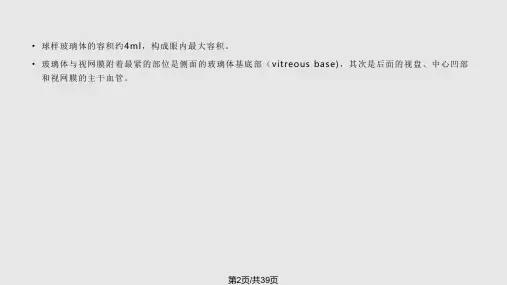 玻璃体病课件ppt课件