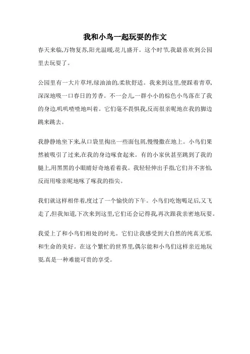 我和小鸟一起玩耍的作文