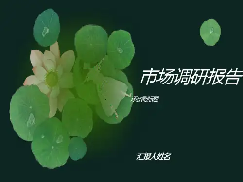 服装品牌市场调研报告