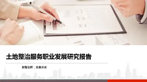 土地整治服务职业发展研究报告