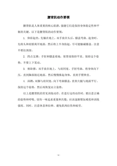 腰背肌动作要领
