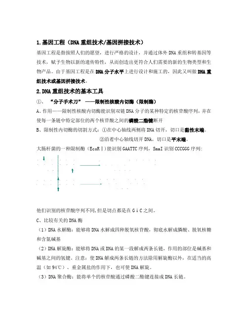 高中生物专题一基因工程详细知识点人教版选修